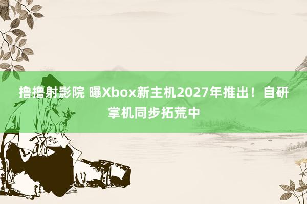撸撸射影院 曝Xbox新主机2027年推出！自研掌机同步拓荒中