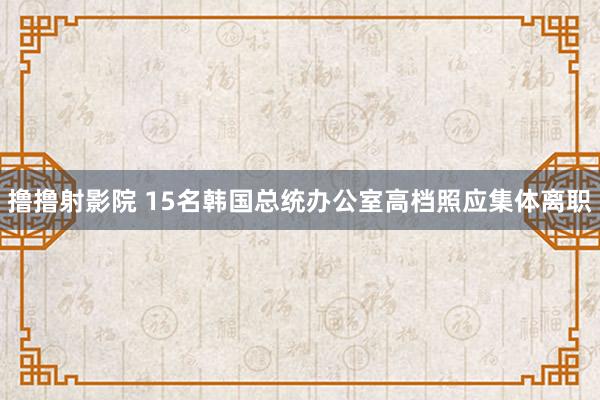 撸撸射影院 15名韩国总统办公室高档照应集体离职