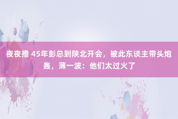 夜夜撸 45年彭总到陕北开会，被此东谈主带头炮轰，薄一波：他们太过火了
