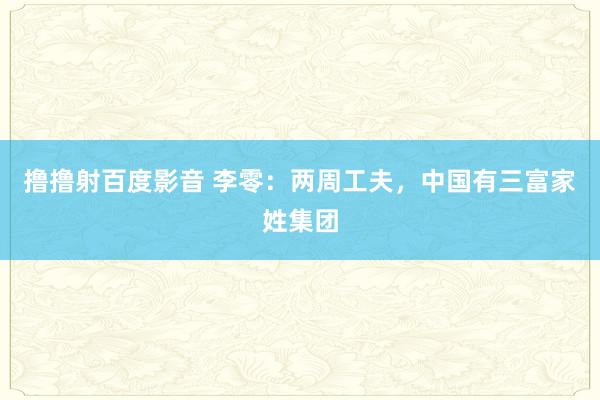 撸撸射百度影音 李零：两周工夫，中国有三富家姓集团