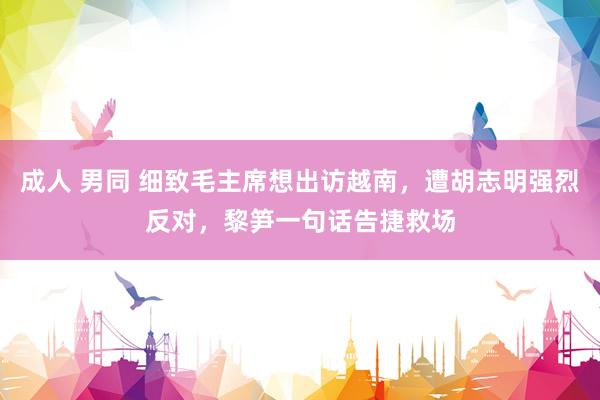 成人 男同 细致毛主席想出访越南，遭胡志明强烈反对，黎笋一句话告捷救场