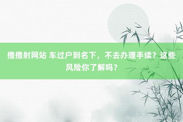 撸撸射网站 车过户到名下，不去办理手续？这些风险你了解吗？