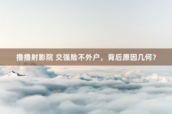 撸撸射影院 交强险不外户，背后原因几何？