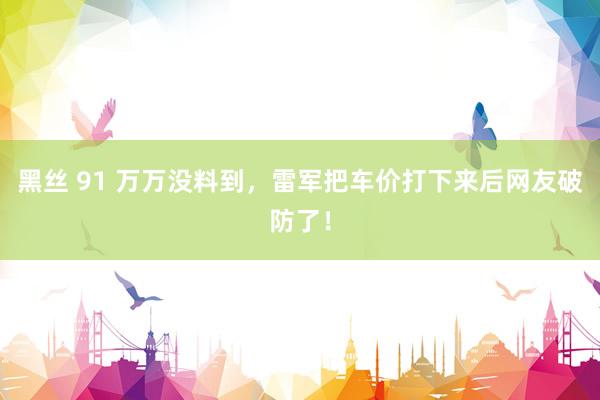黑丝 91 万万没料到，雷军把车价打下来后网友破防了！