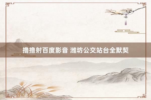 撸撸射百度影音 潍坊公交站台全默契