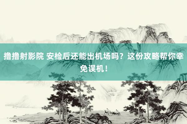 撸撸射影院 安检后还能出机场吗？这份攻略帮你幸免误机！