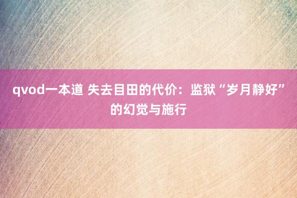 qvod一本道 失去目田的代价：监狱“岁月静好”的幻觉与施行