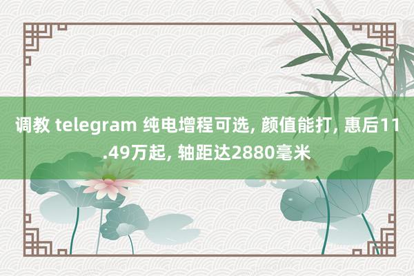 调教 telegram 纯电增程可选， 颜值能打， 惠后11.49万起， 轴距达2880毫米