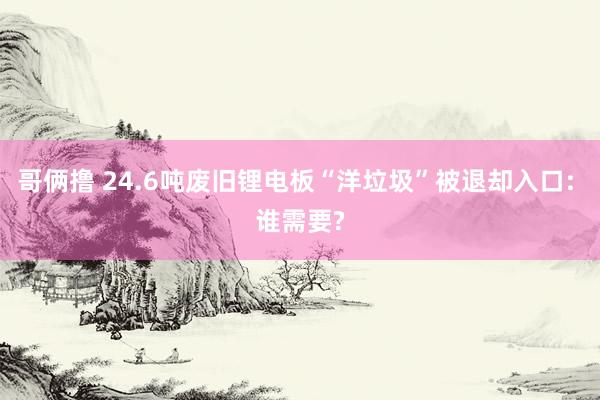 哥俩撸 24.6吨废旧锂电板“洋垃圾”被退却入口: 谁需要?