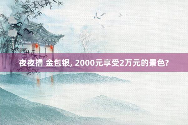 夜夜撸 金包银， 2000元享受2万元的景色?