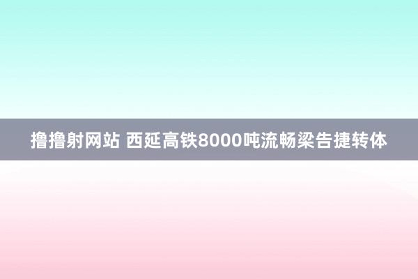 撸撸射网站 西延高铁8000吨流畅梁告捷转体