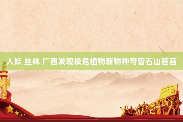 人妖 丝袜 广西发现极危植物新物种弯管石山苣苔