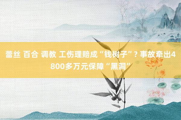 蕾丝 百合 调教 工伤理赔成“钱树子”? 事故牵出4800多万元保障“黑洞”