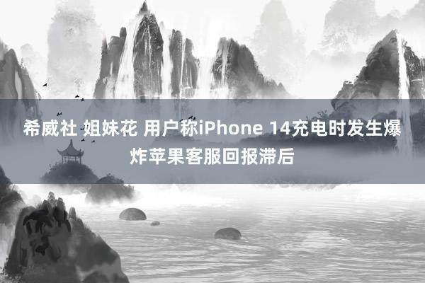 希威社 姐妹花 用户称iPhone 14充电时发生爆炸苹果客服回报滞后