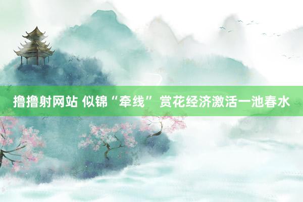 撸撸射网站 似锦“牵线” 赏花经济激活一池春水