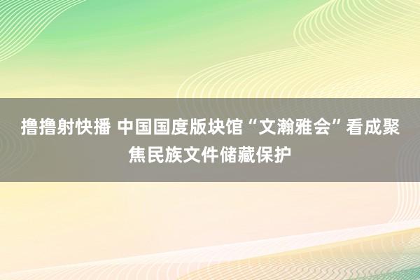 撸撸射快播 中国国度版块馆“文瀚雅会”看成聚焦民族文件储藏保护