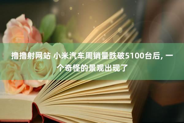 撸撸射网站 小米汽车周销量跌破5100台后， 一个奇怪的景观出现了