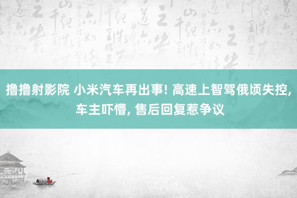撸撸射影院 小米汽车再出事! 高速上智驾俄顷失控， 车主吓懵， 售后回复惹争议