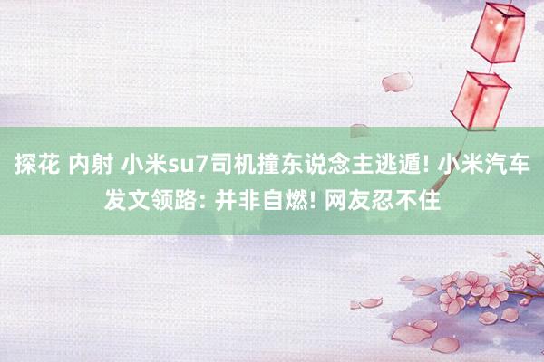 探花 内射 小米su7司机撞东说念主逃遁! 小米汽车发文领路: 并非自燃! 网友忍不住