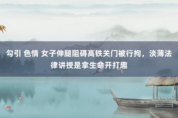 勾引 色情 女子伸腿阻碍高铁关门被行拘，淡薄法律讲授是拿生命开打趣