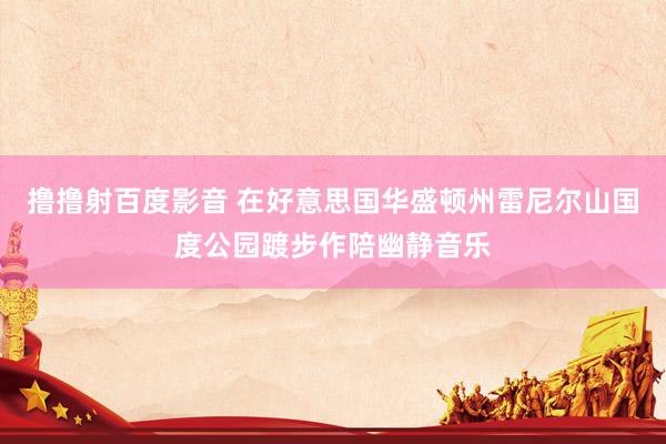 撸撸射百度影音 在好意思国华盛顿州雷尼尔山国度公园踱步作陪幽静音乐