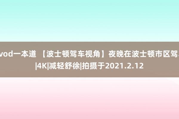 qvod一本道 【波士顿驾车视角】夜晚在波士顿市区驾车|4K|减轻舒徐|拍摄于2021.2.12